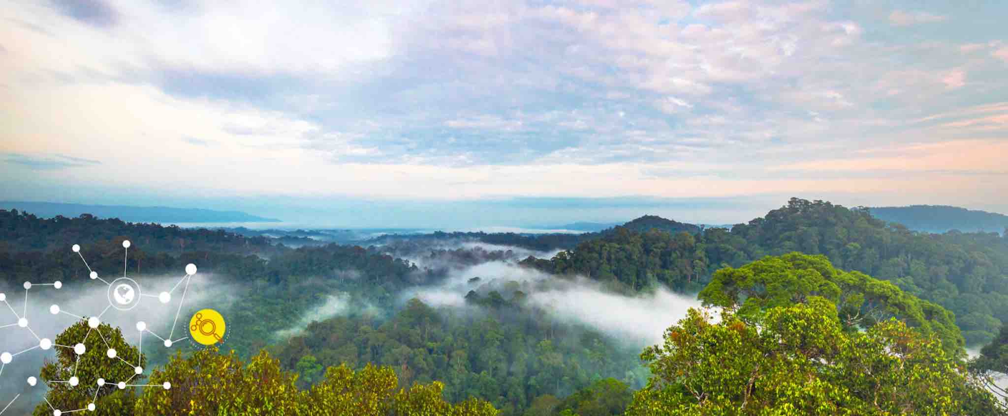 Cover Image for Demand-Response Visualizations