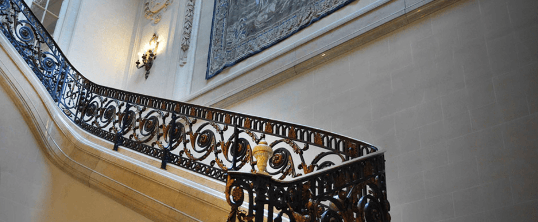 Cover Image for Mapping IFA Alumni